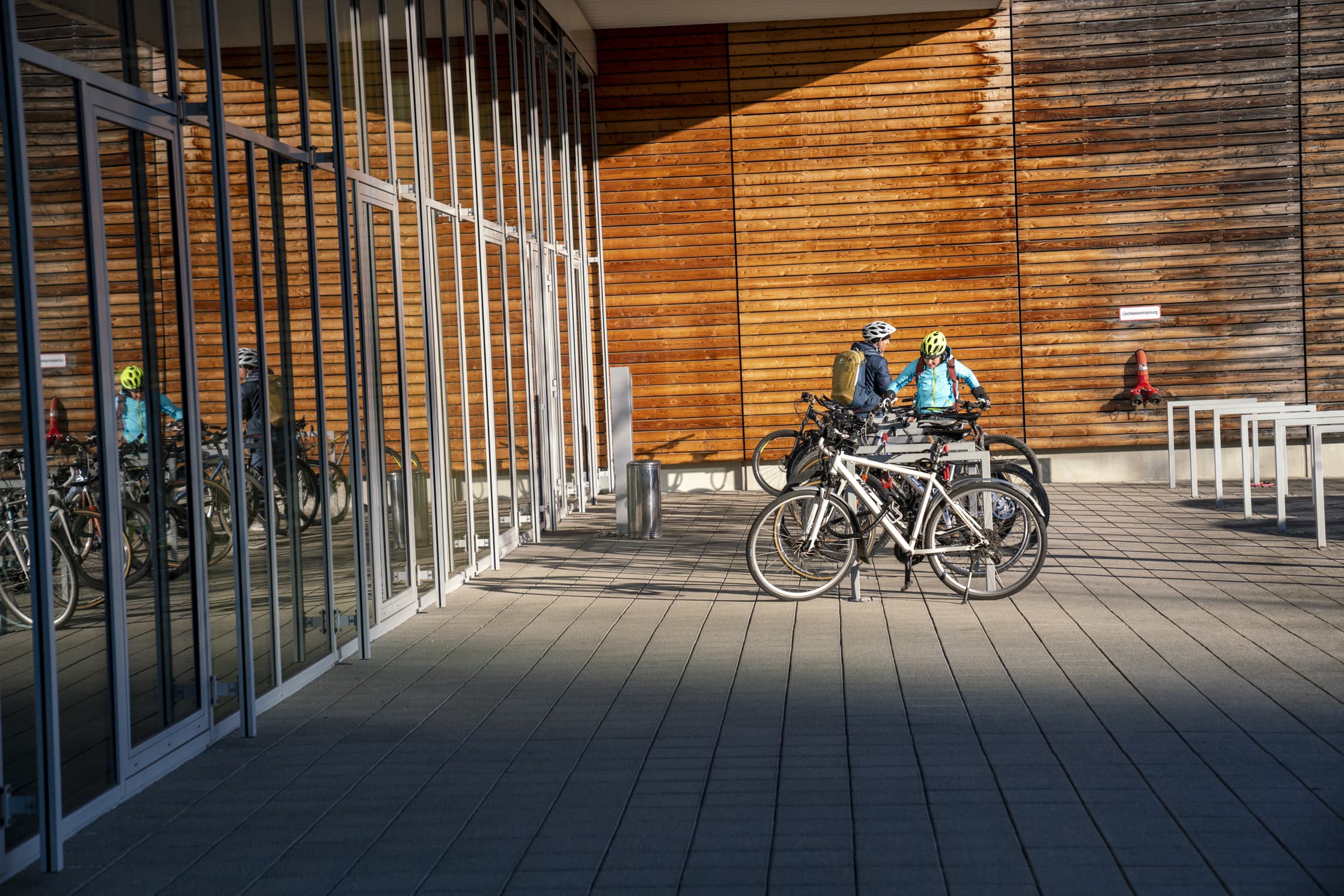 Galleriebild