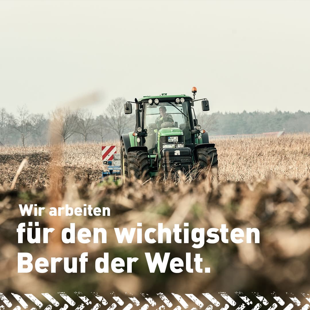 Galleriebild